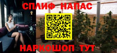 СК Ставрополь