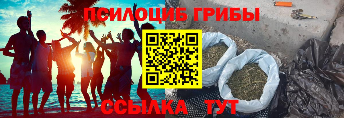 Галлюциногенные грибы Magic Shrooms  Вход с VPN  Новотроицк  Галлюциногенные грибы мухоморы 